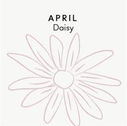 April birth flower - Daisy