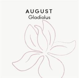 August birth flower - Gladiolus