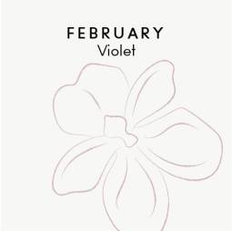 February birth flower - Violet