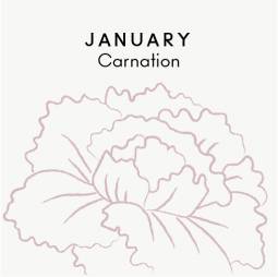 January birth flower - Carnation