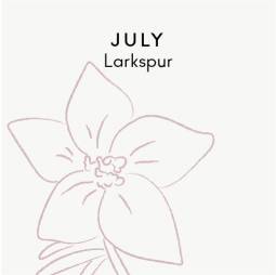 July birth flower - Larkspur