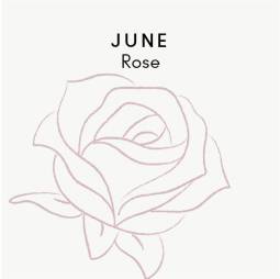 June birth flower - Rose
