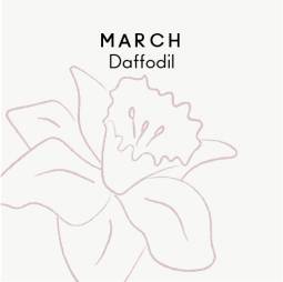 March birth flower - Daffodil