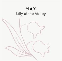 May birth flower - Lilly of the Valley