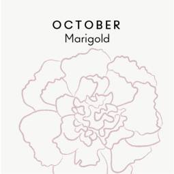 October birth flower - Marigold