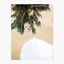 Dreamy Tropics - Wall Art Print product photo