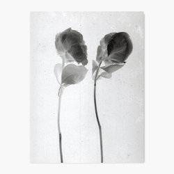 Flower Dreams - Black and White Wall Art Print product photo