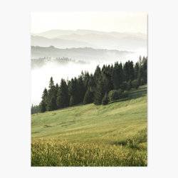 Into the Forest - Scandinavian Wall Art Print product photo
