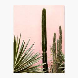 Moroccan Cactus - Wall Art Print product photo