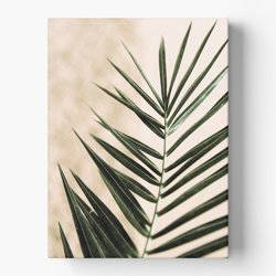 Palm Portrait - Canvas Wall Art product photo