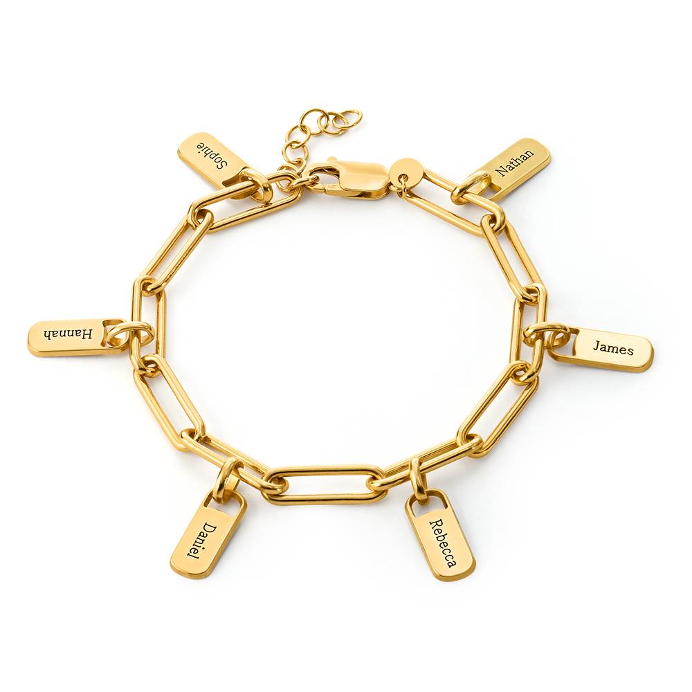 Rory Schakelarmband met Gepersonaliseerde Bedels in Goud Vermeil