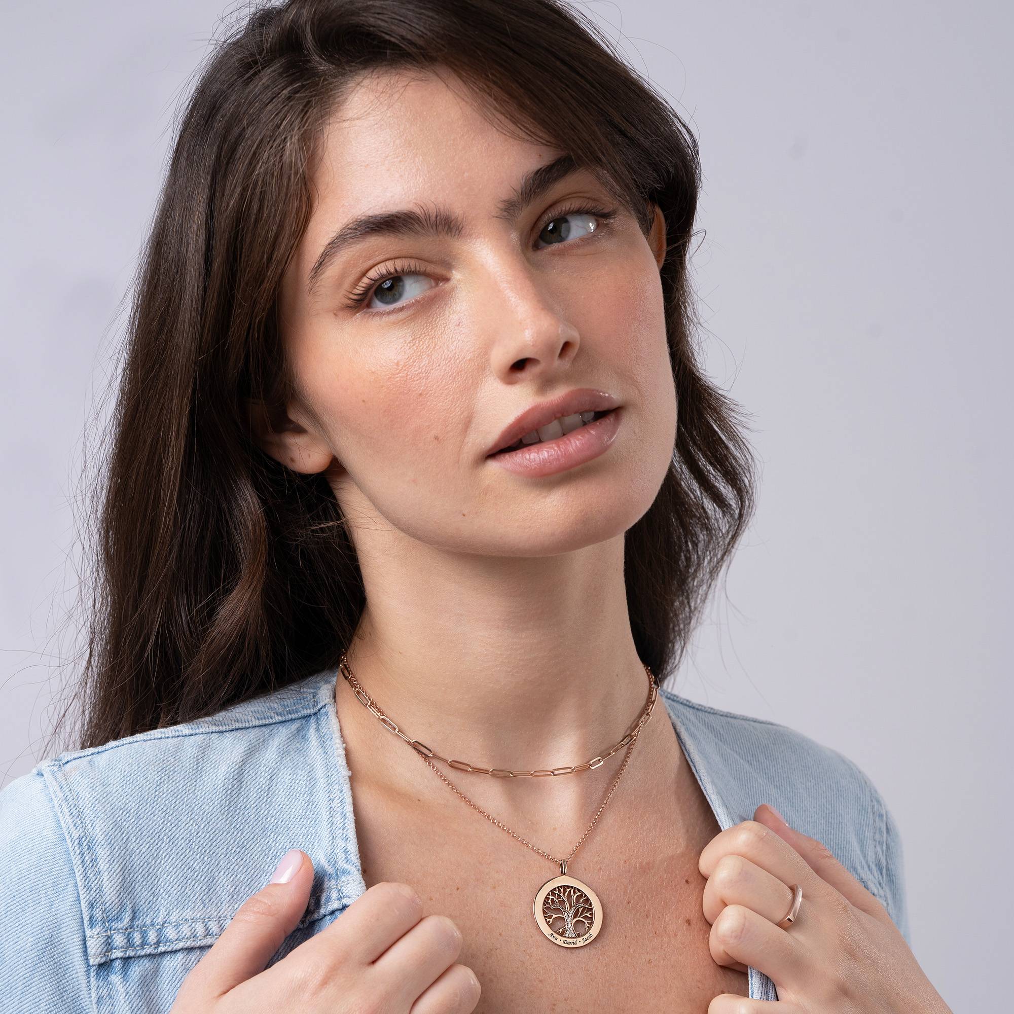 Family Tree Circle Necklace with Diamond in 18ct Rose Gold Plating-3 product photo