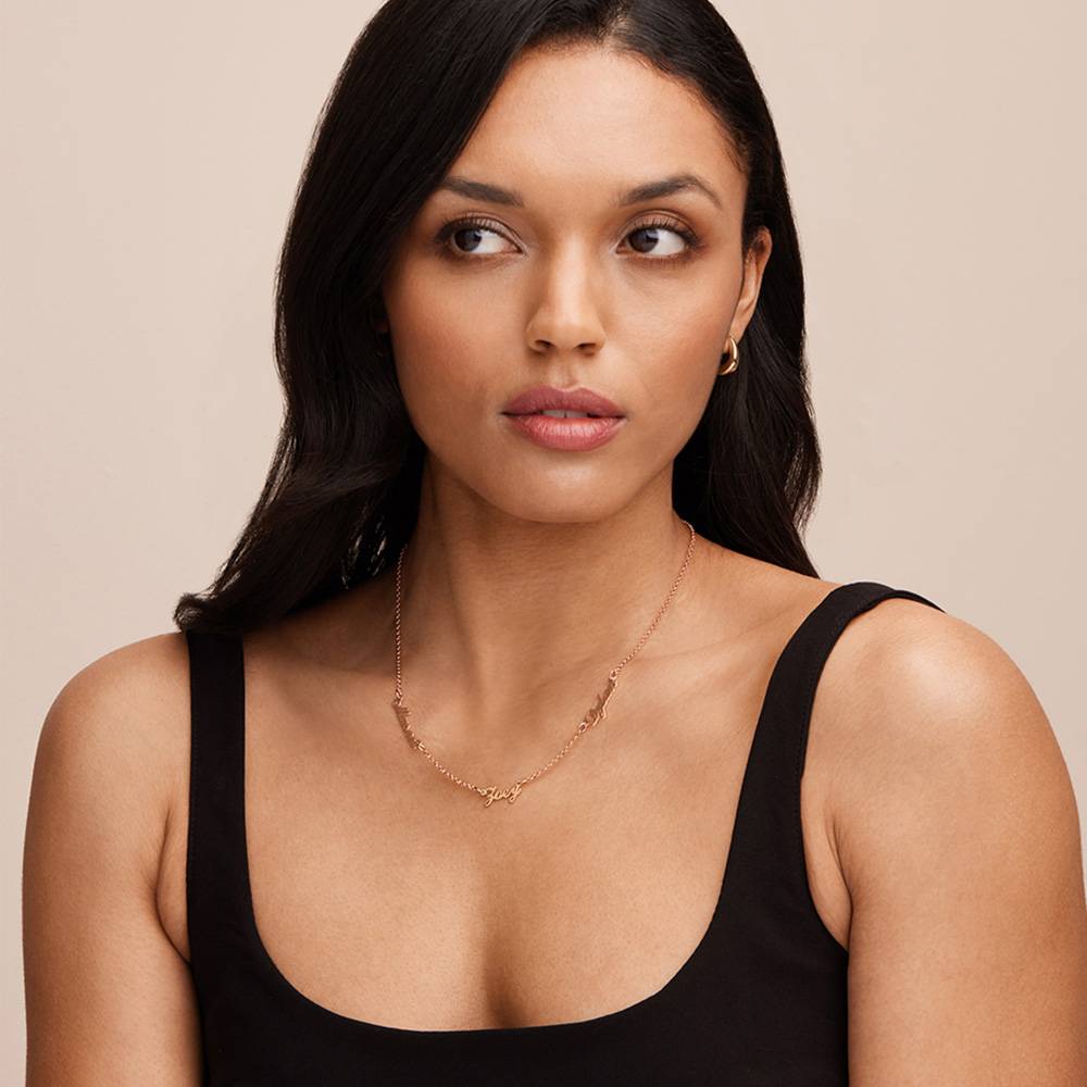 Last Minute Pack "Heritage Multiple Name Necklace in Rose Gold Vermeil"-4 Last Minute Pack "Heritage Multiple Name Necklace in Rose Gold Vermeil"-4 product photo