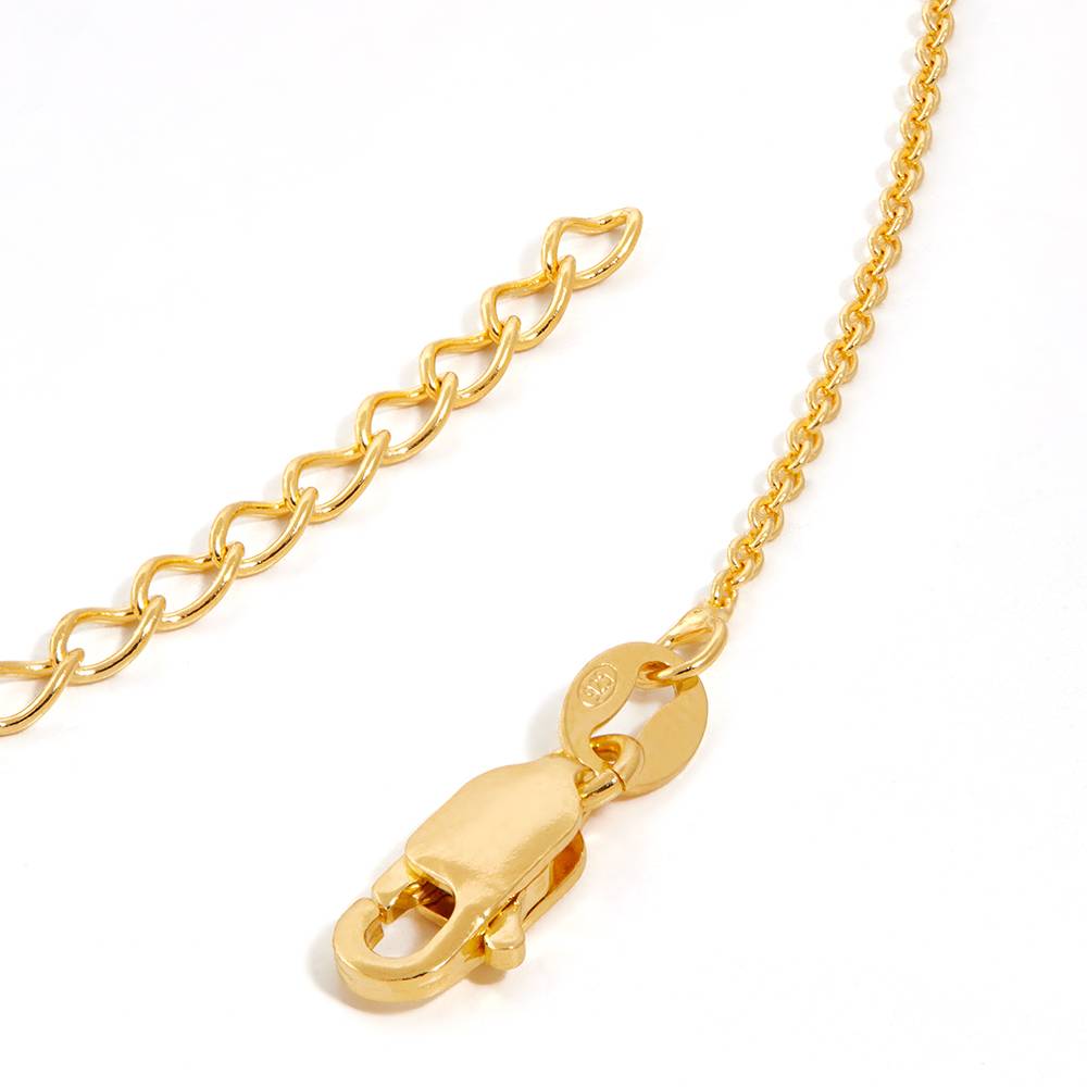 Prairie Birth Flower Initial Necklace in 18ct Gold Plating-1 product photo