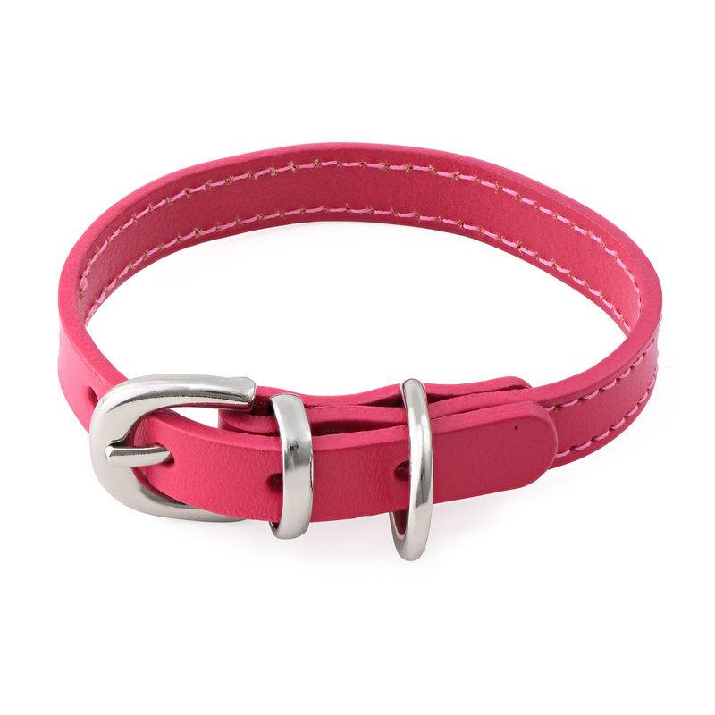 Cat or Dog Small Leather Collar product photo