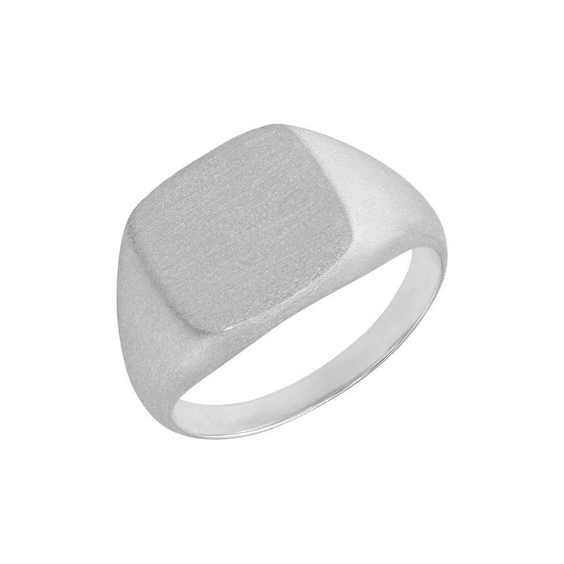 Engraved Signet Ring for Men in Matte Silver-1 product photo