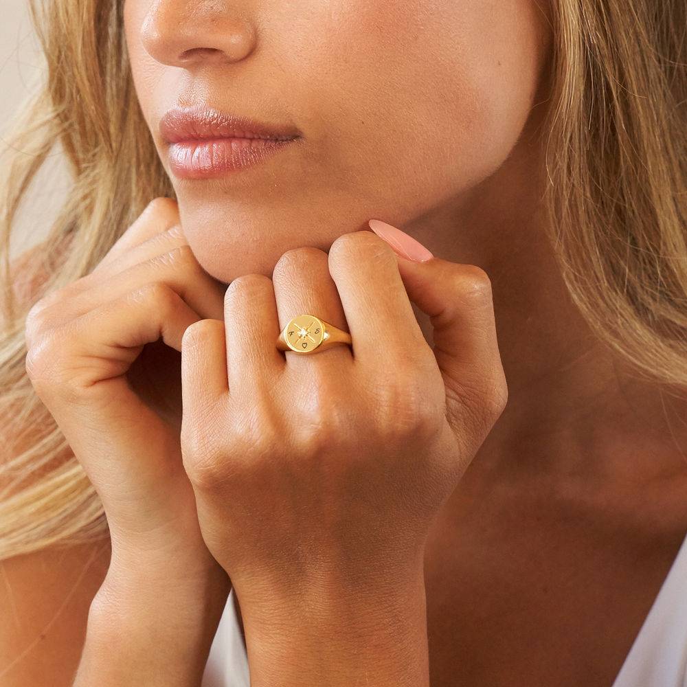 Kate Compass Ring With Cubic Zirconia in 18k Vermeil-1 product photo