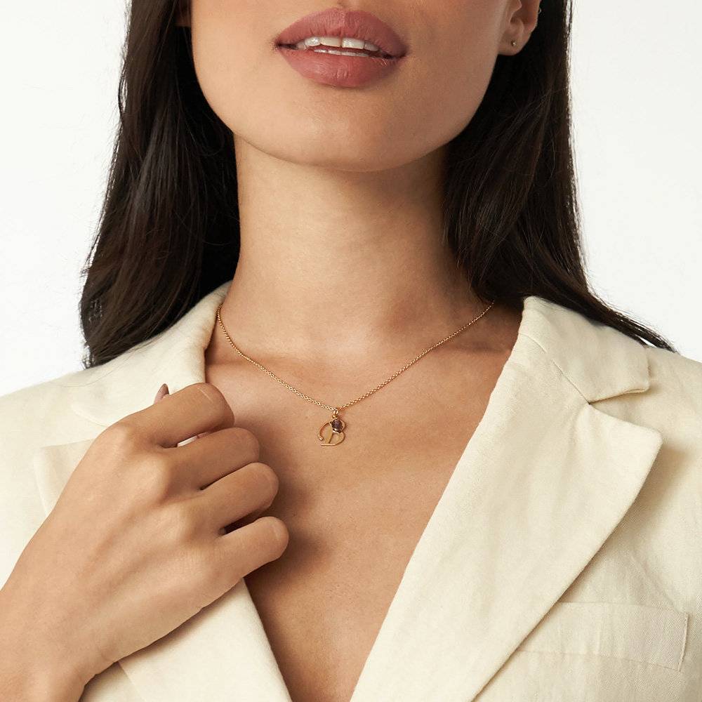 Initial Necklace with Birthstone in 18ct Gold Vermeil-1 product photo