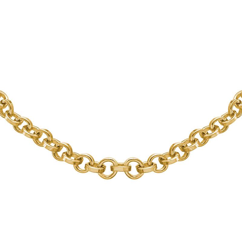 Rollo Chain in 18ct Gold Plating-1 product photo