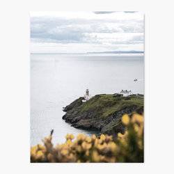 Scandinavian Coast - Wall Art Print product photo